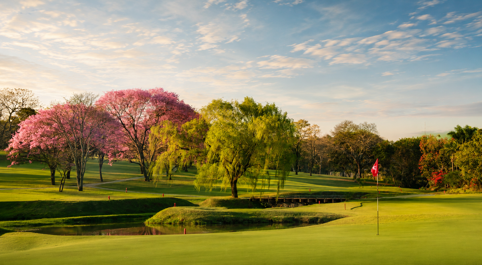 Campo de golf al amanecer con lapachos rosa en flor, salgueiros y bandera roja del hoyo junto a un espejo de agua